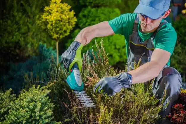 landscaping services North Haven